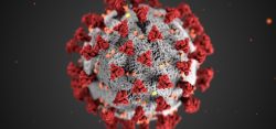 Coronavirus COVID-19 y enfermedades del ano